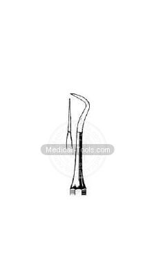 Dental White Scalars 