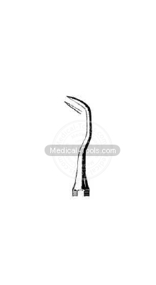 Dental Whitten Scalars 