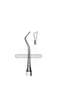 Dental Williger Scalars