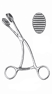 Young 16cm