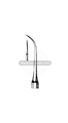 Dental Younger Good Scalars 