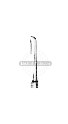 Dental Younger Good Scalars