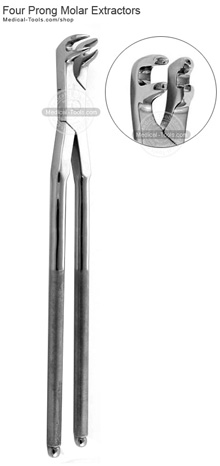 Four Prong Molar Extracting Forceps