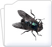 Entomology Instruments
